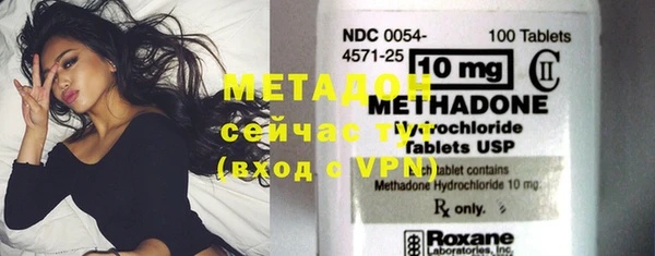 прущие грибы Осинники