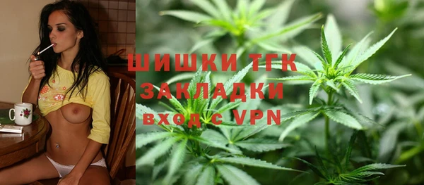 твердый Няндома