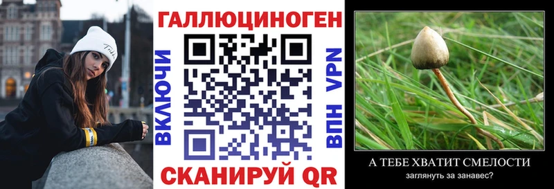 hydra ссылки  Княгинино  сайты даркнета состав  Псилоцибиновые грибы Psilocybe 