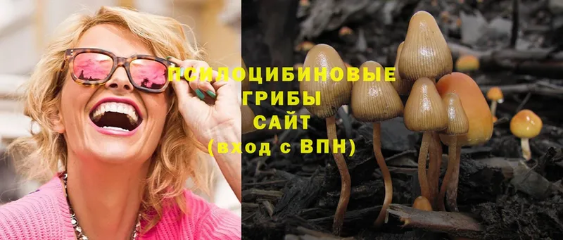 Псилоцибиновые грибы Magic Shrooms  Княгинино 